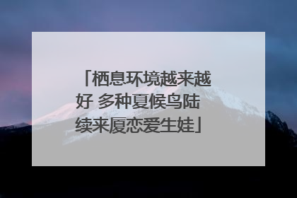 栖息环境越来越好 多种夏候鸟陆续来厦恋爱生娃